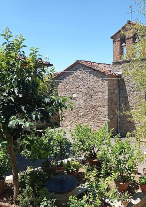 Petreto Il Giardino Dei Limoni Apartment Castiglion Fiorentino Exterior photo