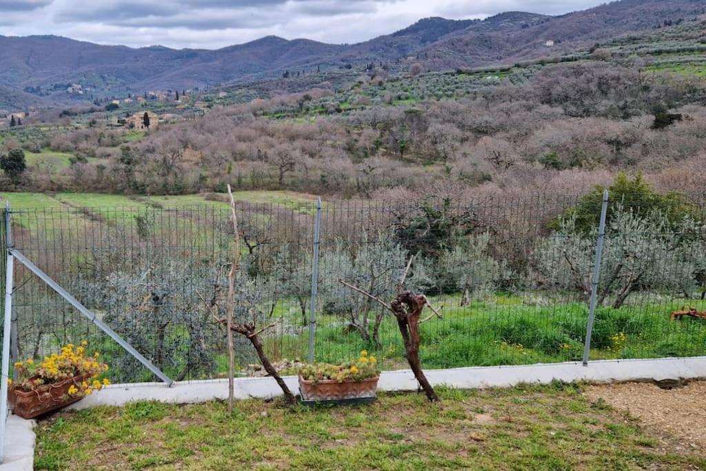 Petreto Il Giardino Dei Limoni Apartment Castiglion Fiorentino Exterior photo